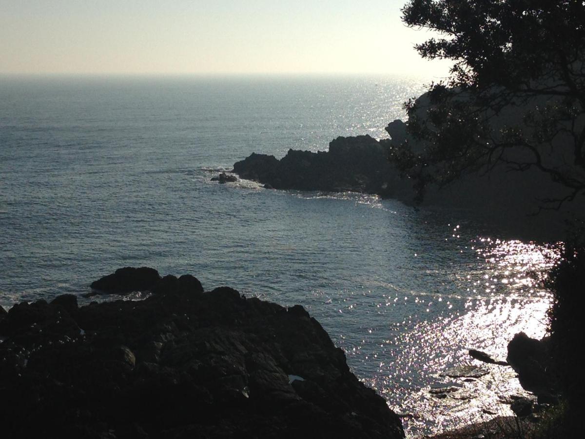Bay View, Millendreth Looe Cornwall Βίλα Εξωτερικό φωτογραφία
